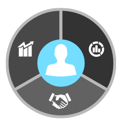 professional-effectiveness-model